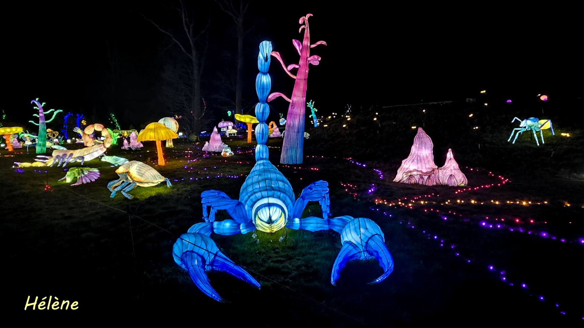 THOIRY -Illumination ,  Lumières sauvages 2025-2026